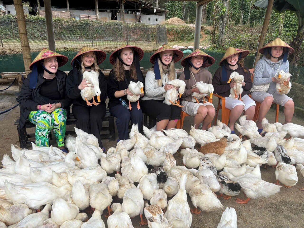 Eine Gruppe von Menschen sitzt auf Stühlen, jeder hält eine Ente, im Vordergrund eine große Herde Enten und Hühner.