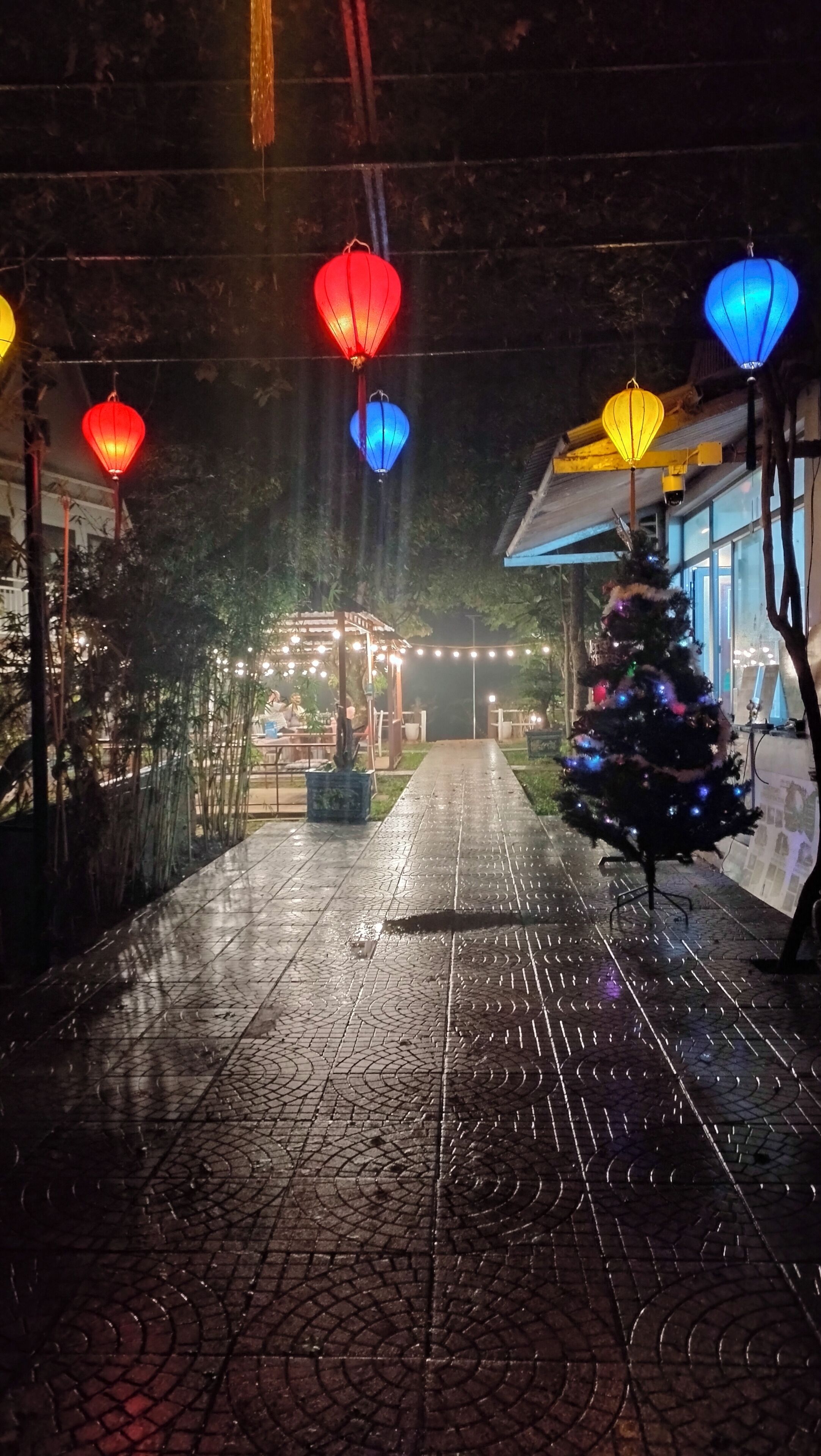 A pathway leading to a building with a Christmas tree decorated with lights.