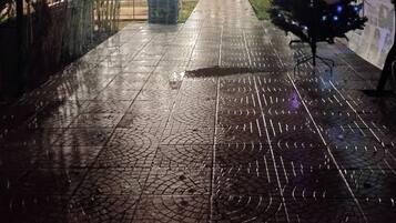 A pathway leading to a building with a Christmas tree decorated with lights.