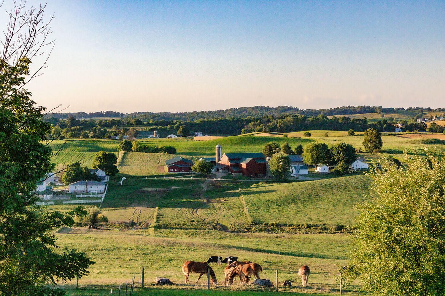Een landelijk landschap met een boerderij, schuren en paarden die grazen.