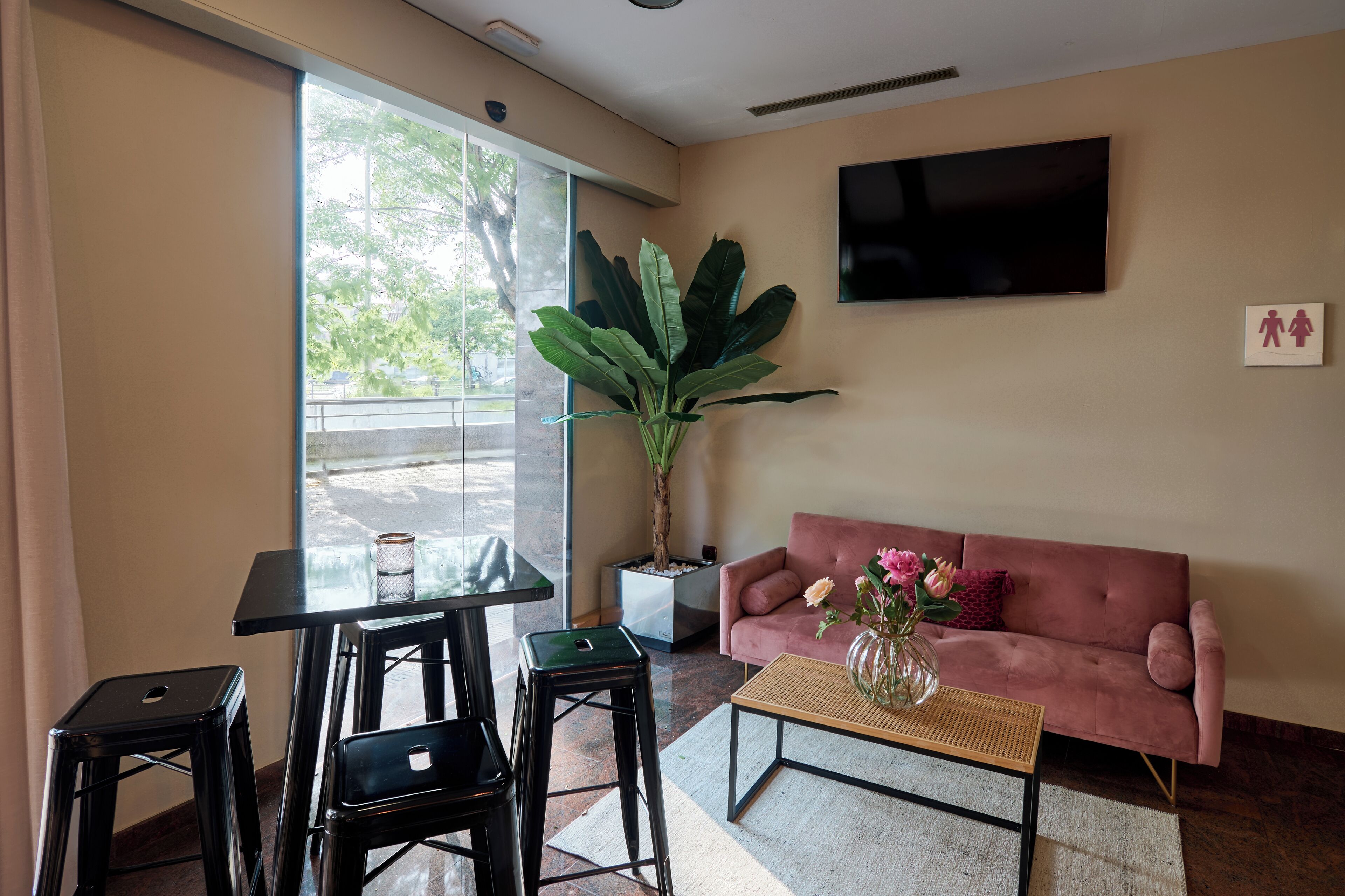 Una sala moderna con un sofá, una mesita de centro y una planta grande.
