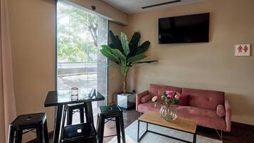 Una sala moderna con un sofá, una mesita de centro y una planta grande.