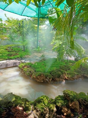 Een besloten tuin gehuld in mist, met een waterpartij, weelderig groen en een houten bank.