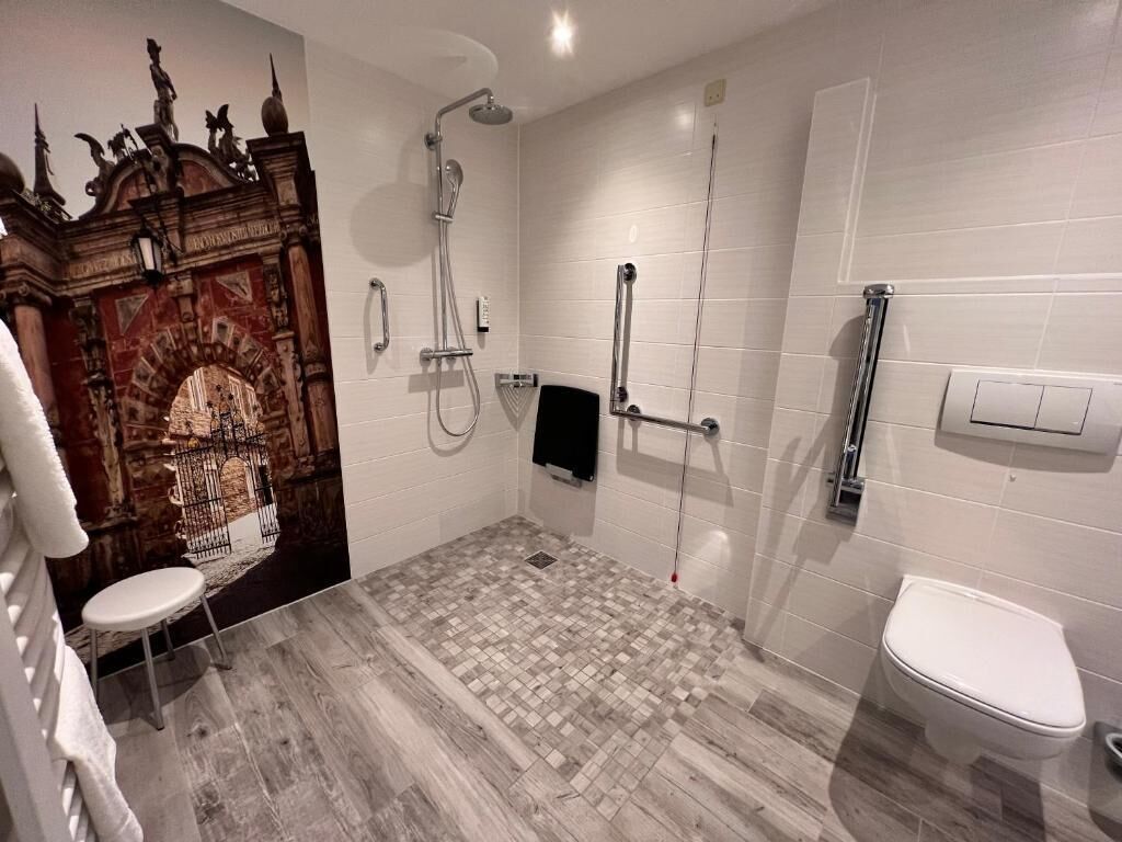 A bathroom with a shower, toilet, and a decorative wall.