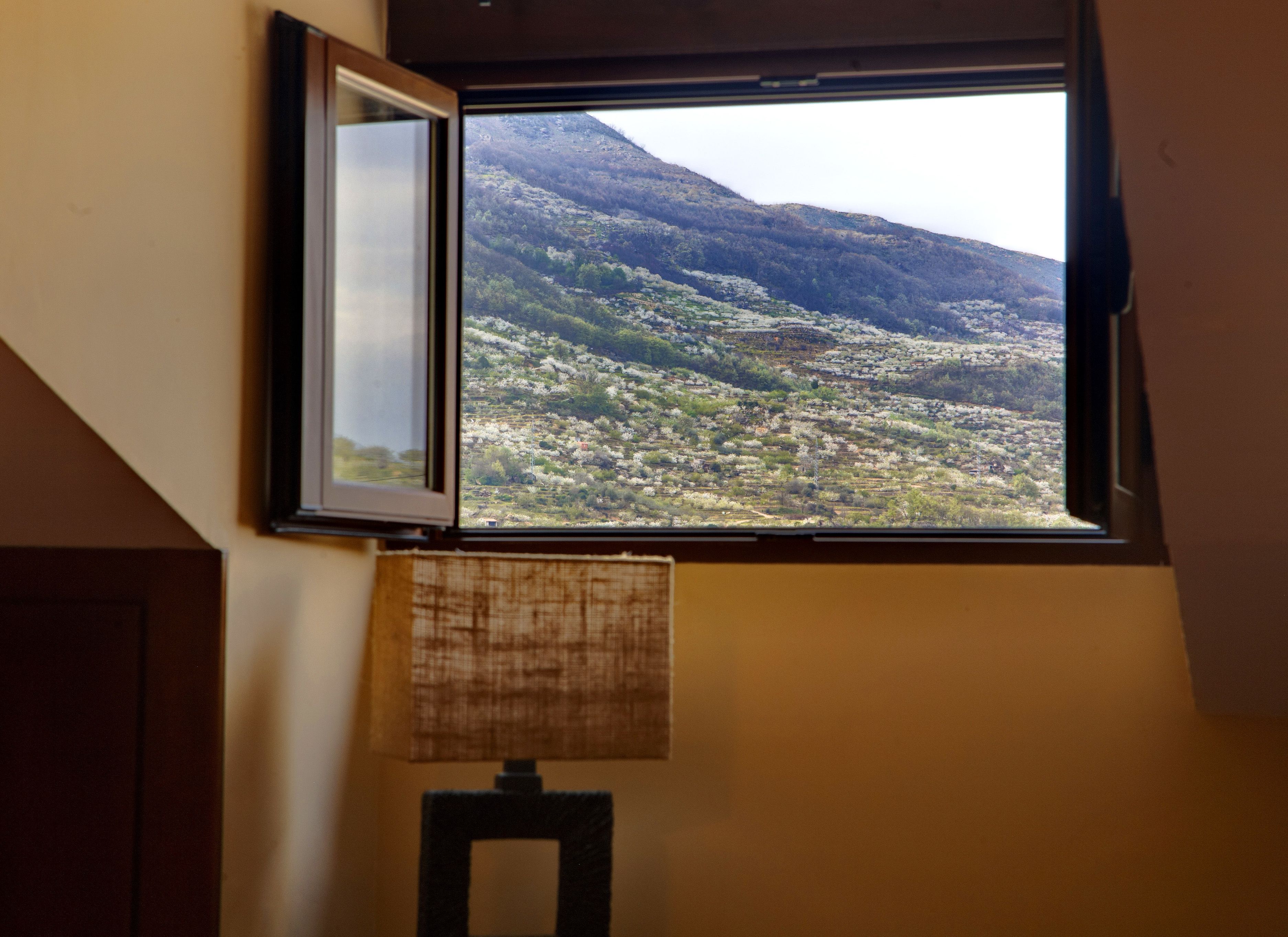 Apartment, Mountain View | View from room