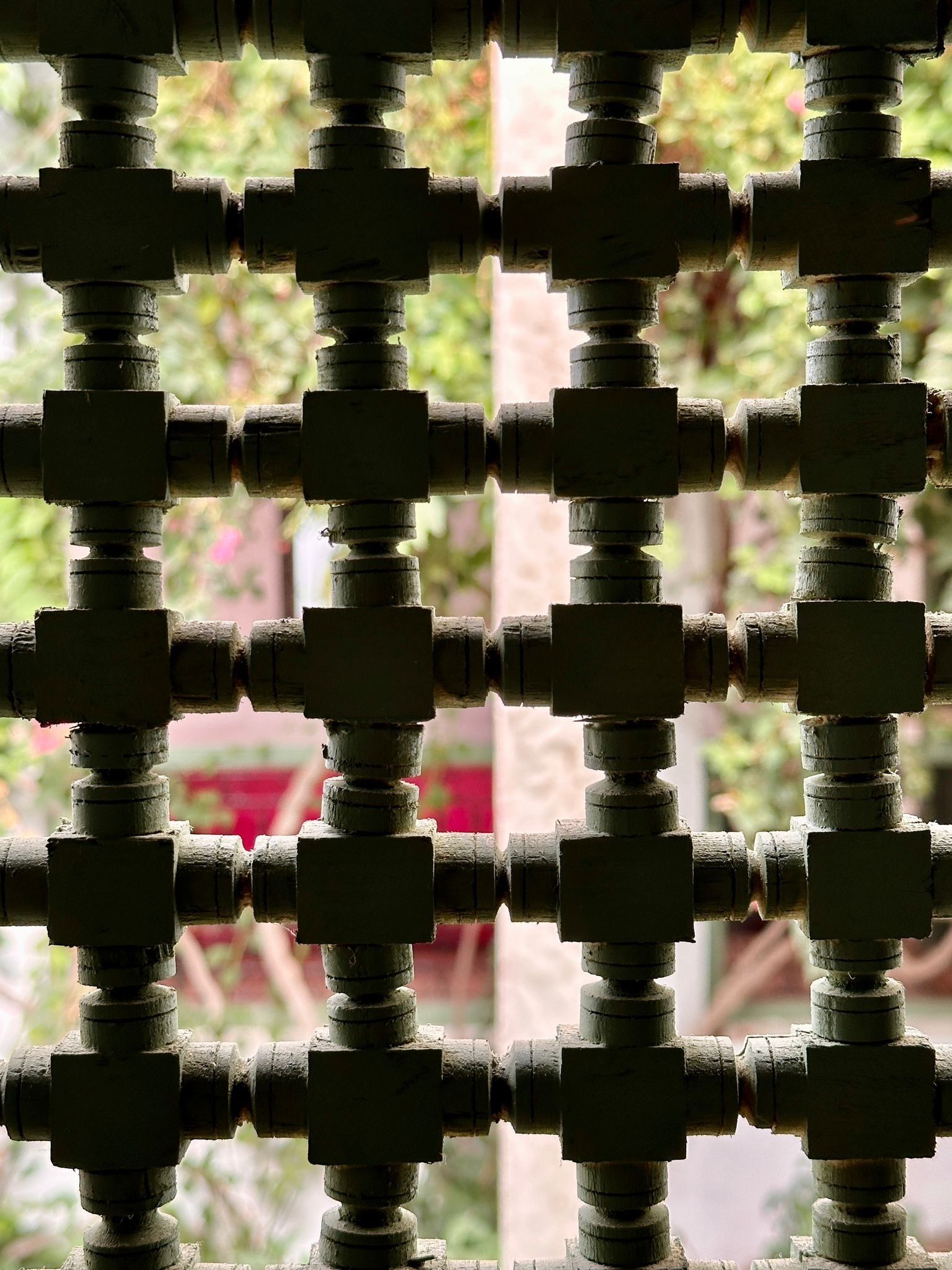 Photo - Riad Timila