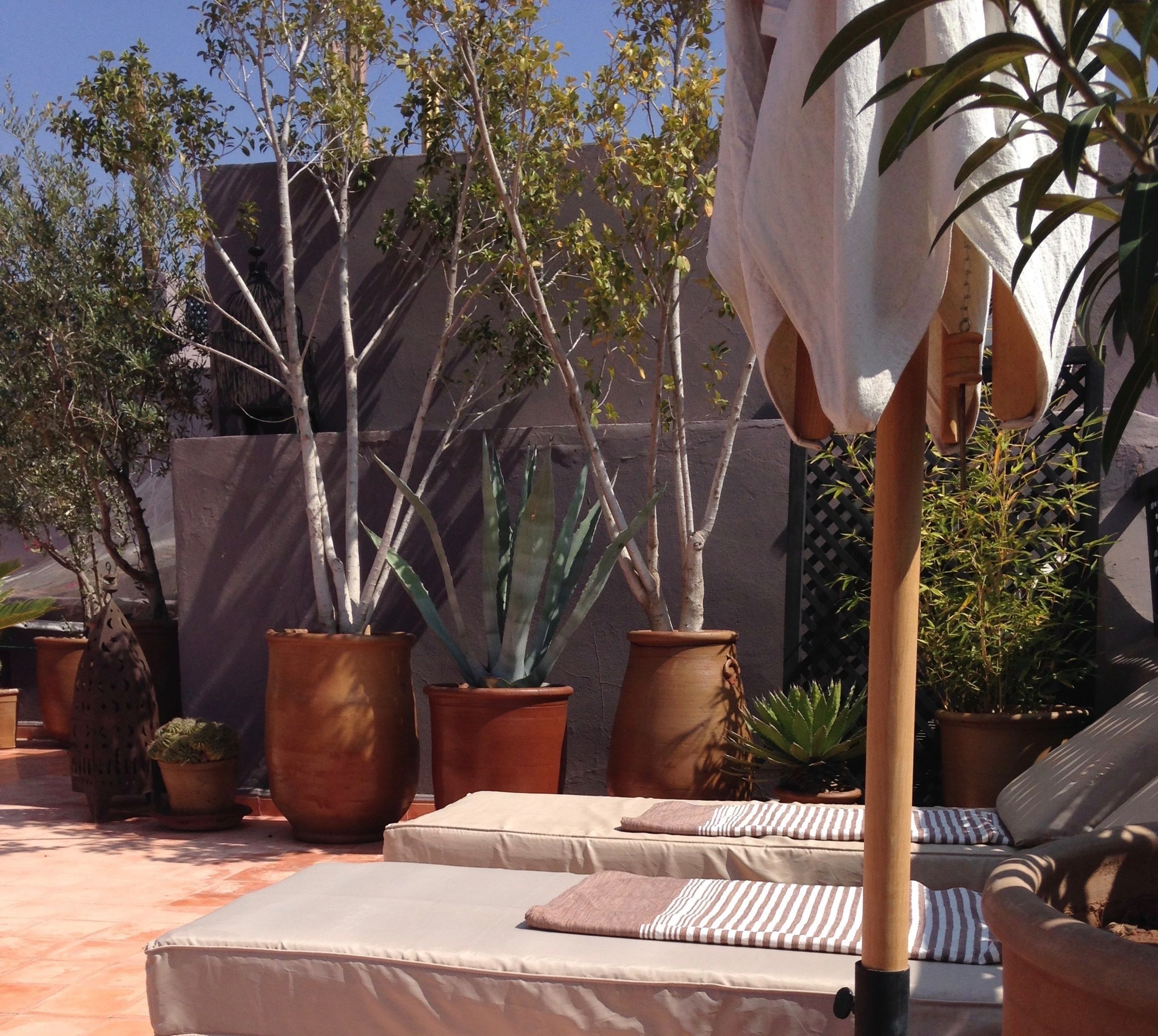 Un patio con mobiliario exterior, plantas en macetas y un edificio al fondo.