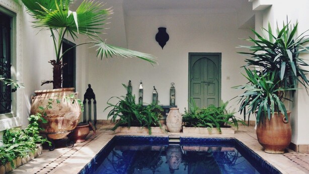 A courtyard with a swimming pool, surrounded by potted plants and a green door. - Riad Timila (Marrakech)