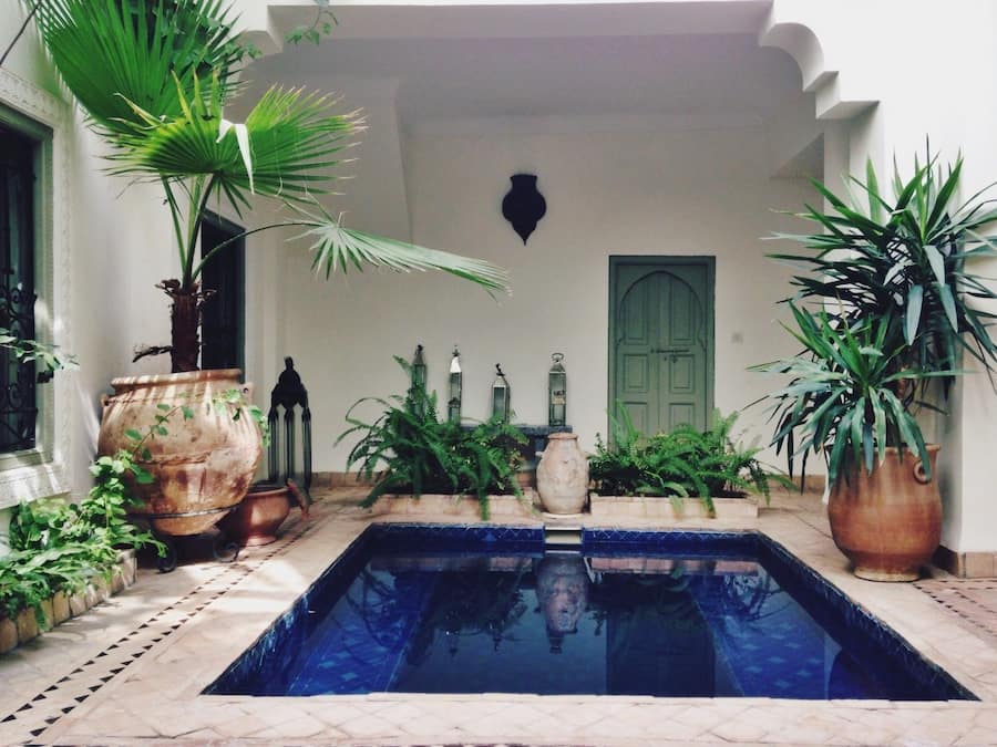 Outdoor pool, pool loungers