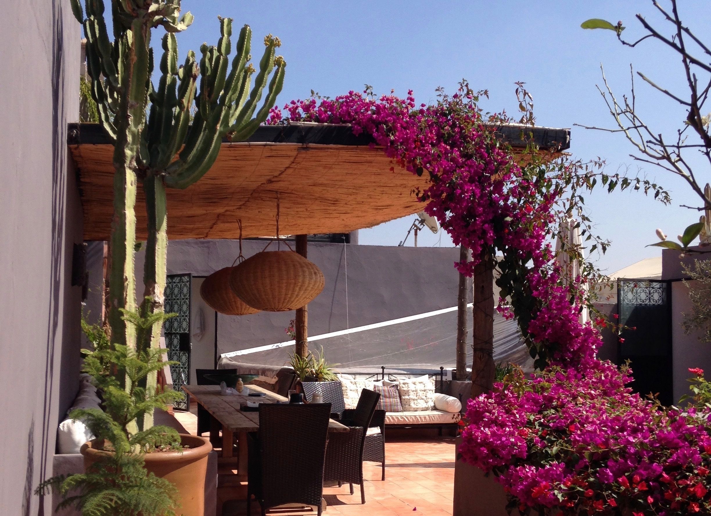Eine Außenpatio mit einer Holz-Pergola, einem Kaktus und leuchtend blühender Bougainvillea.