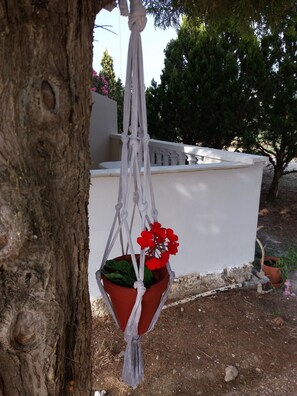 A serene oasis beneath a tree, featuring a vibrant planter with red flowers.