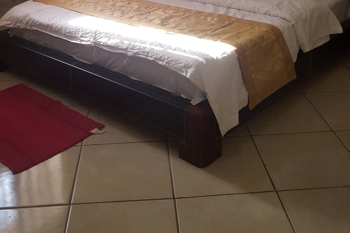 Una cama bien hecha con cabecera, un tapete rojo y cortinas en las ventanas.