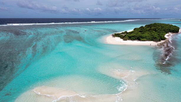 Unclassified image, 1 of 91, button - Annama Lodge And Dive (Hoarafushi)