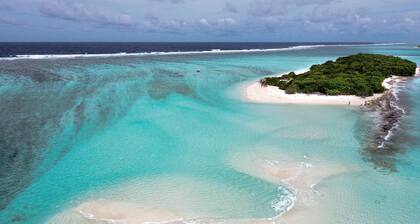 Annama Lodge And Dive