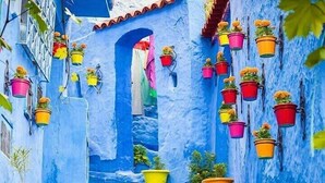 Una escalera con macetas coloridas en las paredes y los peldaños, que lleva a la entrada de un edificio.