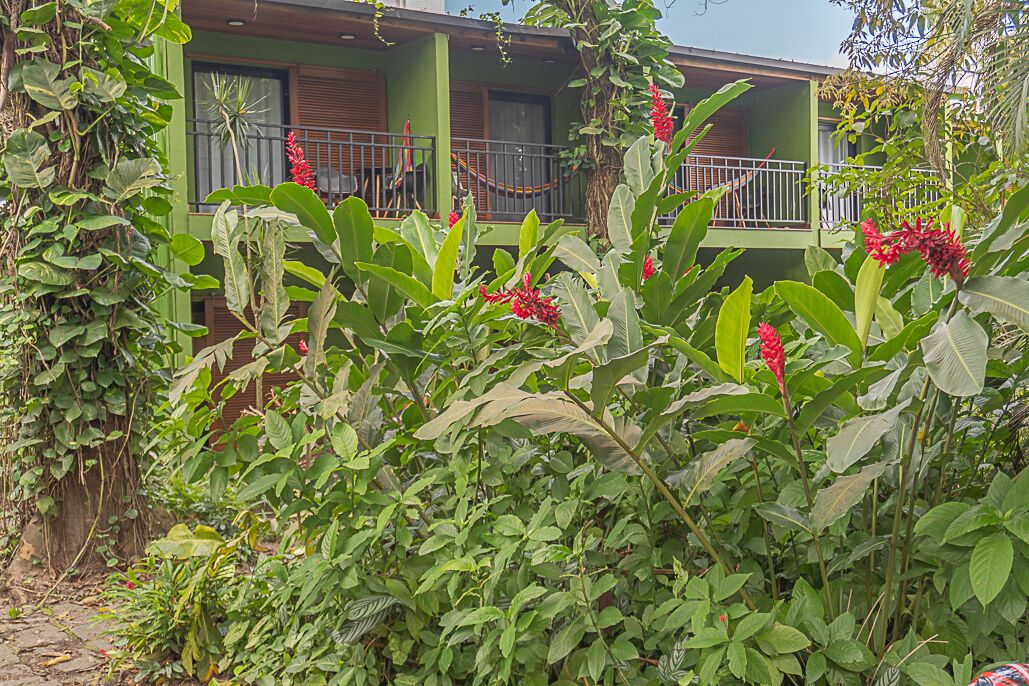 A green building with a balcony, surrounded by lush vegetation and red flowers.