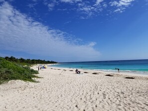 Beach nearby, white sand