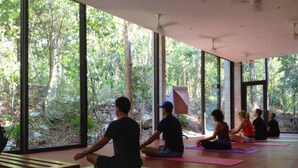 A yoga class in a room with large windows overlooking a forest. - Charming 2 bedroom Apartment within Bahia Principe Resort (Akumal)