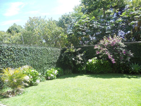 Un jardín bien cuidado con diversas plantas y flores, un seto ordenado y un césped cubierto de hierba.