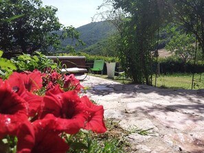 Un patio jardín con flores rojas, un banco de madera y una silla verde.