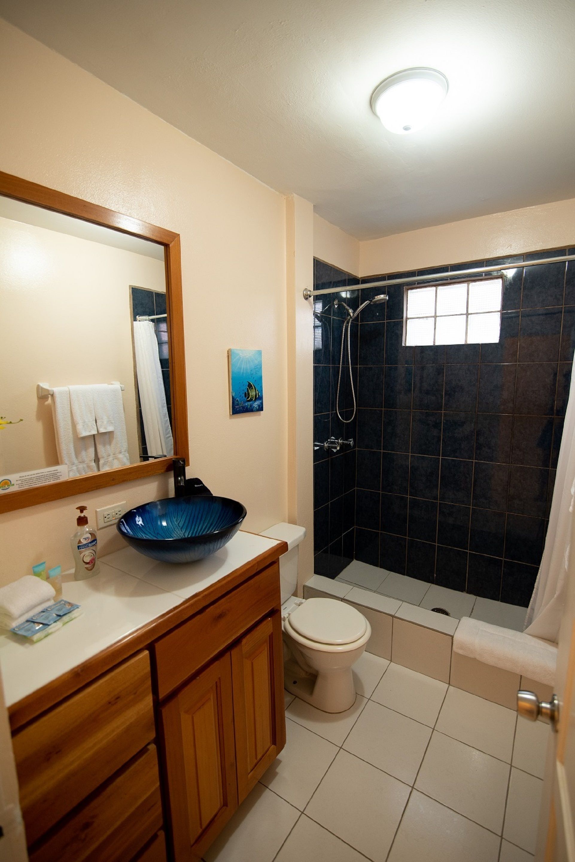 deluxe apartment, 1 king bed, non smoking, kitchen | bathroom | shower, hair dryer, towels, soap