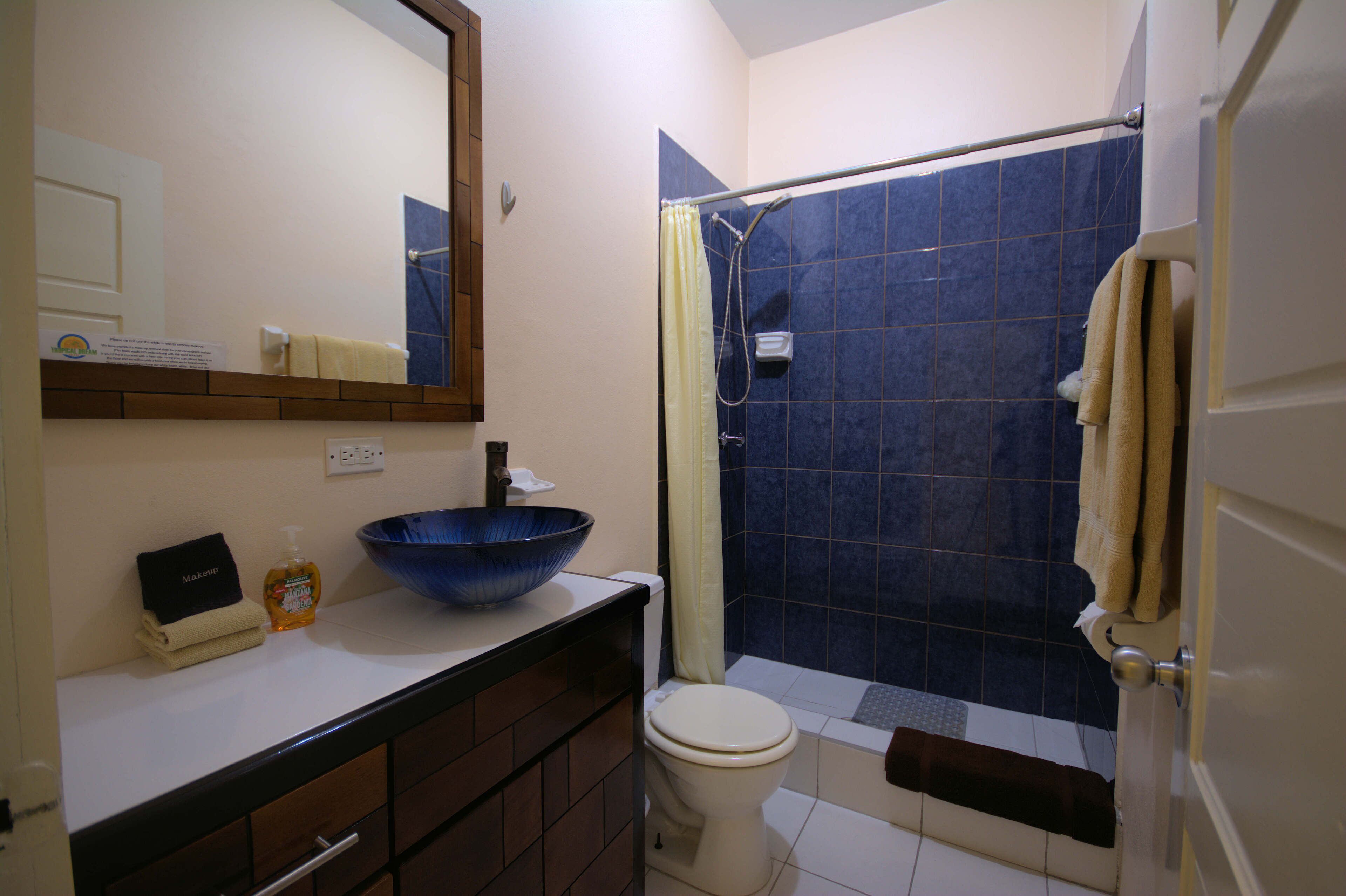 deluxe apartment, 1 king bed, non smoking, kitchen | bathroom | shower, hair dryer, towels, soap