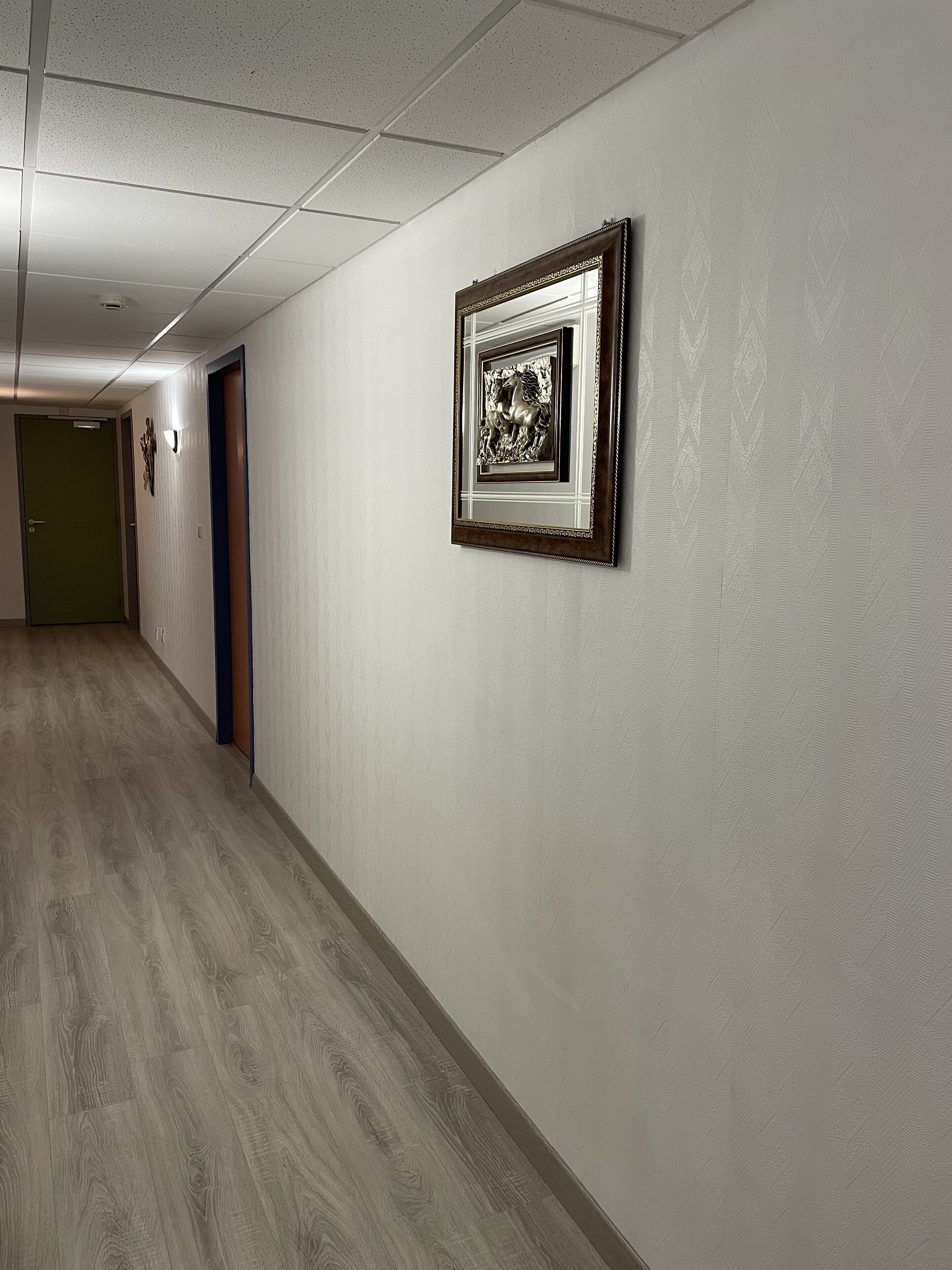 Un couloir avec un tableau encadré au mur, un plancher en bois et une porte au fond.