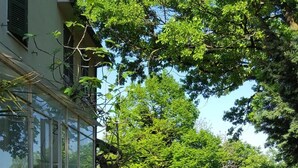 Un jardin avec une serre, des plantes en pot et un chemin menant à une maison.