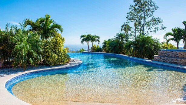 Una piscina cristalina con borde curvo, rodeada de palmeras y un muro de piedra.