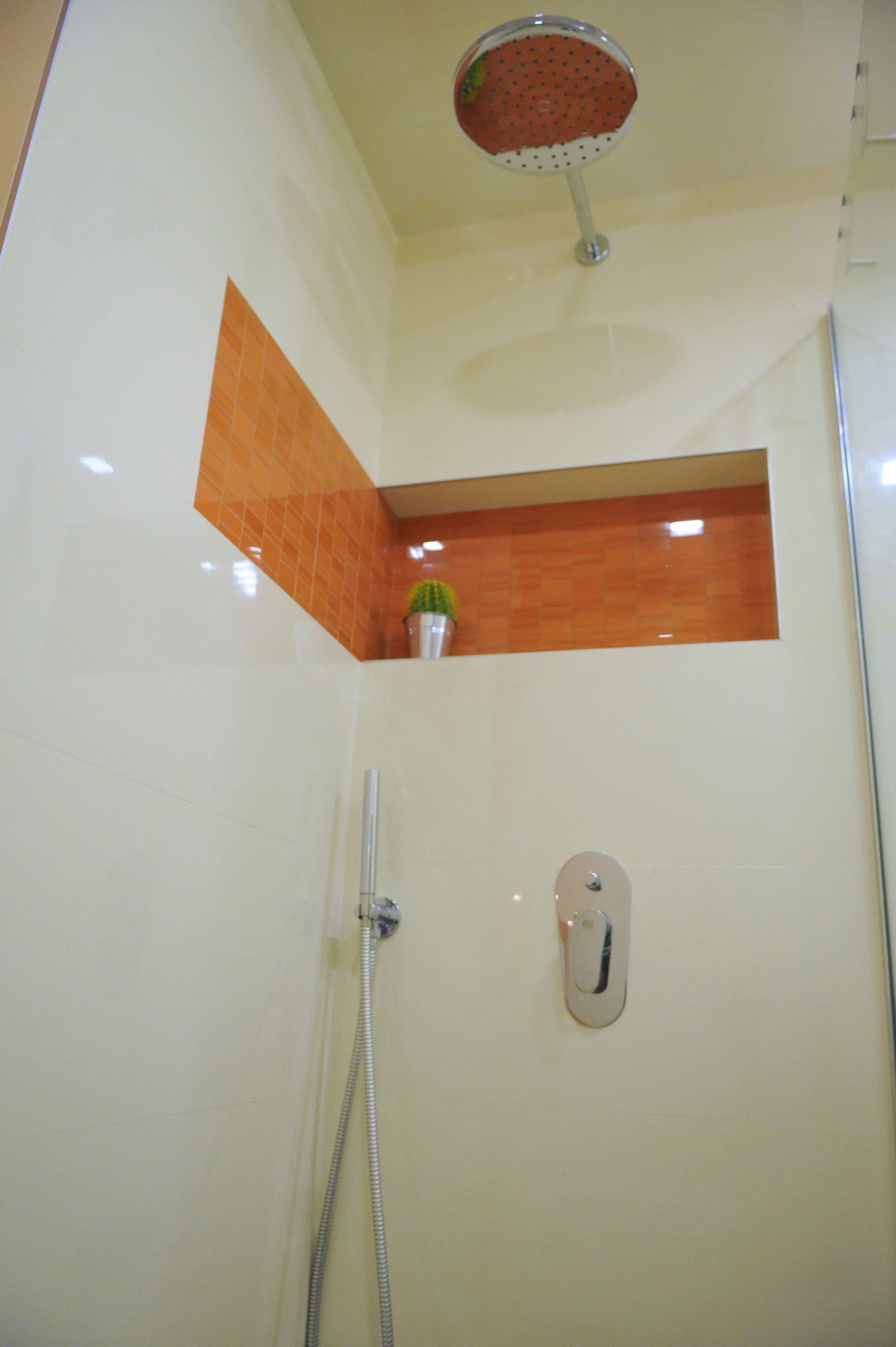 Een douche met een handdouche, een bedieningspaneel aan de muur en een potplant in een hoek.