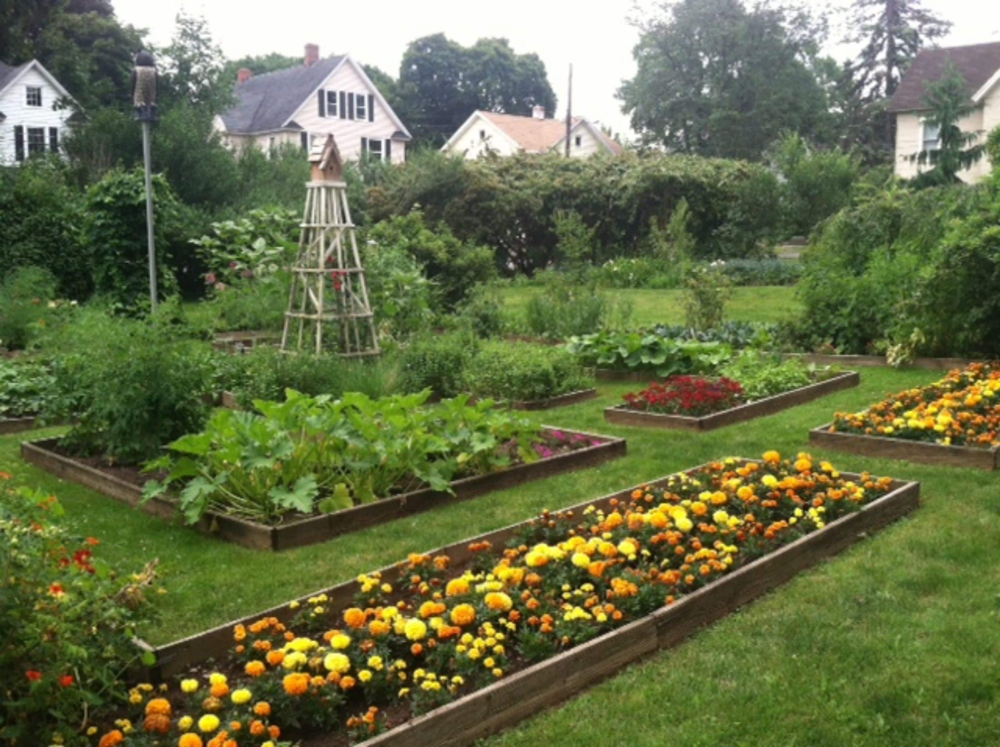 Un jardín con camas elevadas para flores y una estructura de madera.