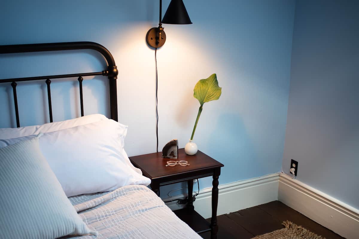 A bedroom with a bed, a nightstand, a lamp, and a plant.