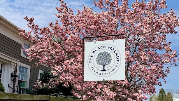 Une enseigne pour le Bed & Breakfast « The Black Walnut », avec un cerisier en fleurs en arrière-plan.