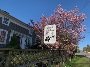 A sign for Black Walnut B&B with a wooden fence and blooming trees in the background. - Black Walnut Bed and Breakfast (Interlaken)