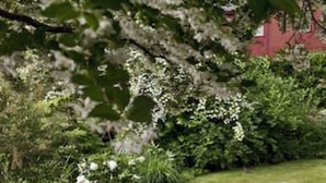 Una panchina in un giardino, con un sentiero e un edificio rosso sullo sfondo.