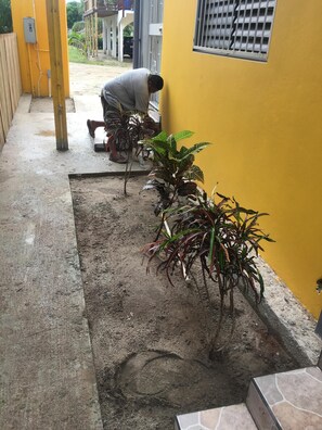 Guests can tend to their own plants in a designated outdoor area.
