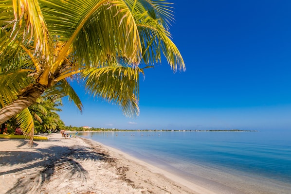 Enjoy a serene beach experience with a gentle slope into the calm waters.