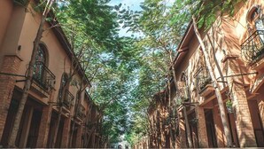 Una calle arbolada flanqueada por edificios, con balcones y ventanas arqueadas.