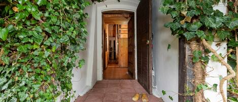 A narrow hallway with a wooden door at the end, surrounded by dense green ivy.