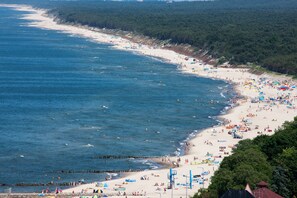 Una playa costera con un muelle que se adentra en el agua, rodeada de un bosque frondoso.