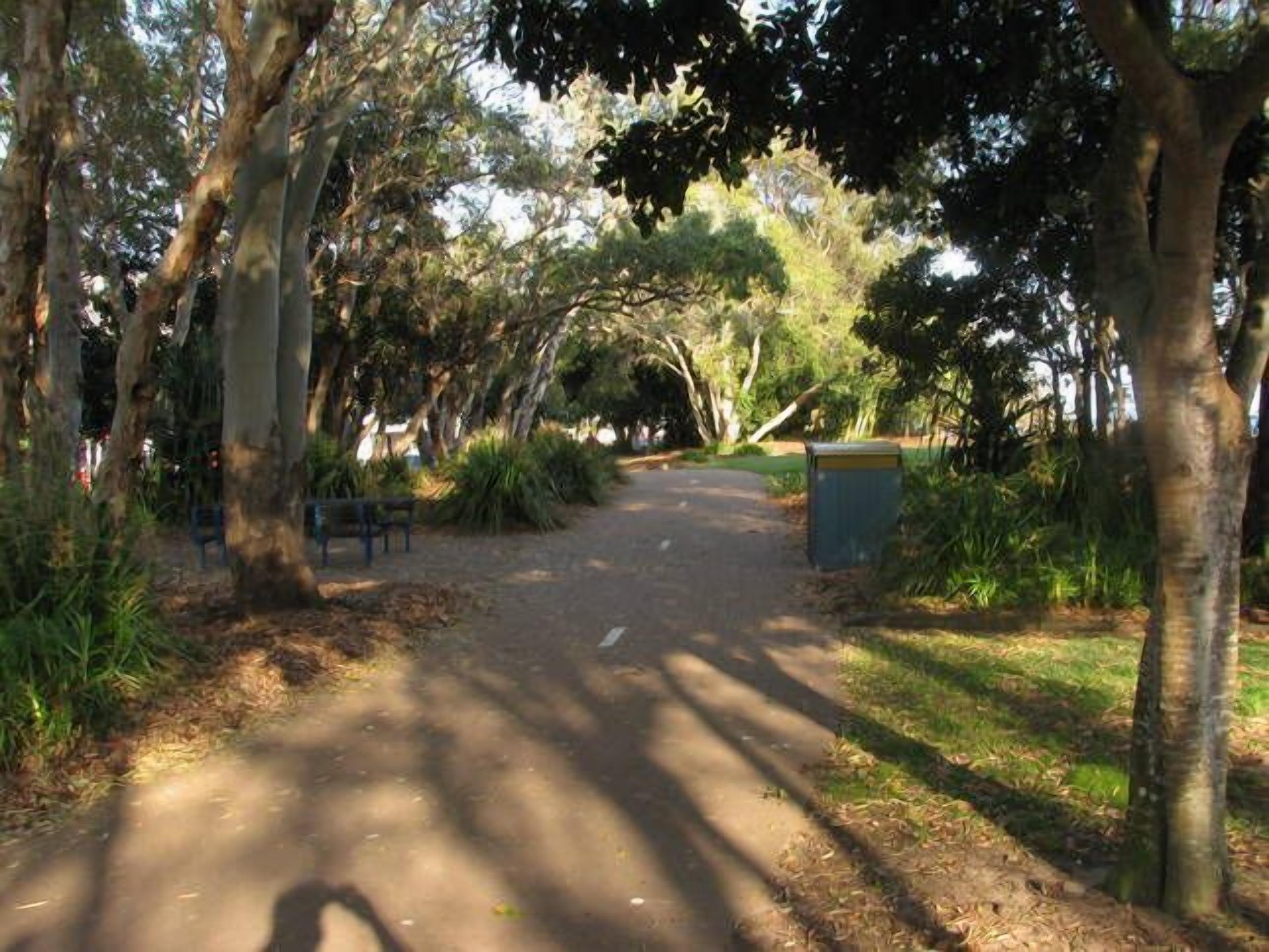 Bay Dream - Hervey Bay — image 18