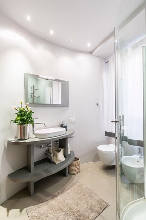 Shower, hair dryer, bidet, towels