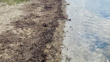A riverside path with a grassy area and a clear water body.