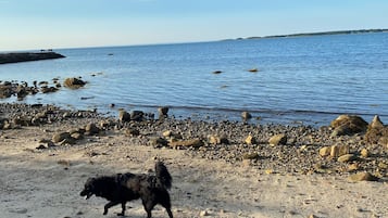 Playa en los alrededores, camastros, sombrillas y toallas de playa