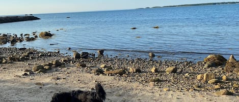 Perto da praia, espreguiçadeiras, toalhas de praia 