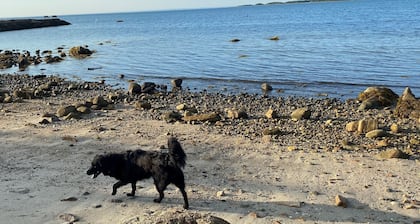 Bungalow mit 3 Schlafzimmern, nur wenige Schritte vom Privatstrand in Buzzard's Bay entfernt!