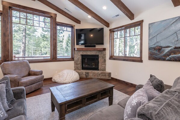 TV, fireplace, DVD player