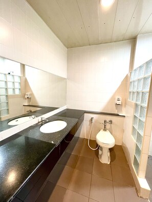 Ein Badezimmer mit zwei Waschbecken, einer Toilette und einer Wand aus Glasbausteinen.