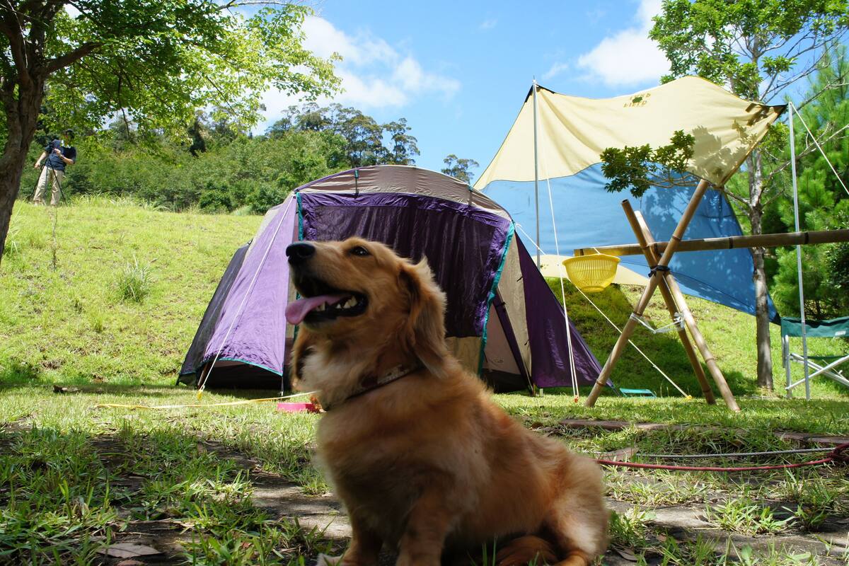 Tienda (SITE ONLY with Pets, RENTAL TENT 4000)