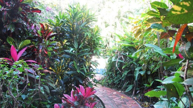 Un chemin pavé de briques, bordé d’une végétation luxuriante et de différentes espèces de plantes.